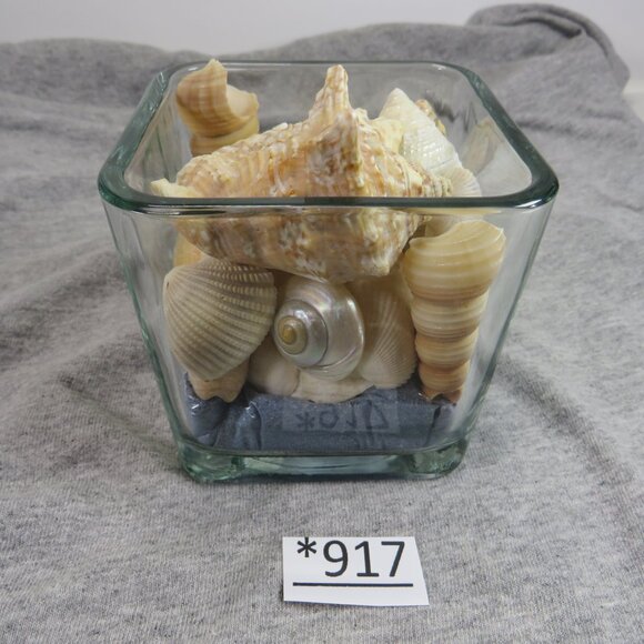 REAL Sea Shells in a Glass Square Vase and sand #2 - Picture 2 of 10